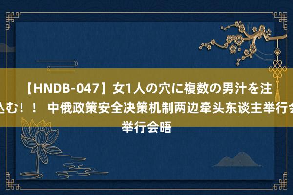 【HNDB-047】女1人の穴に複数の男汁を注ぎ込む！！ 中俄政策安全决策机制两边牵头东谈主举行会晤