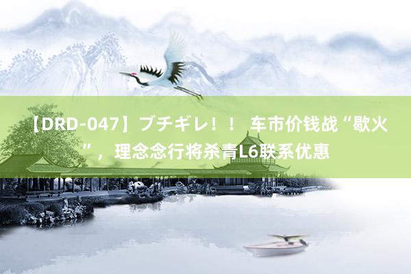 【DRD-047】ブチギレ！！ 车市价钱战“歇火”，理念念行将杀青L6联系优惠