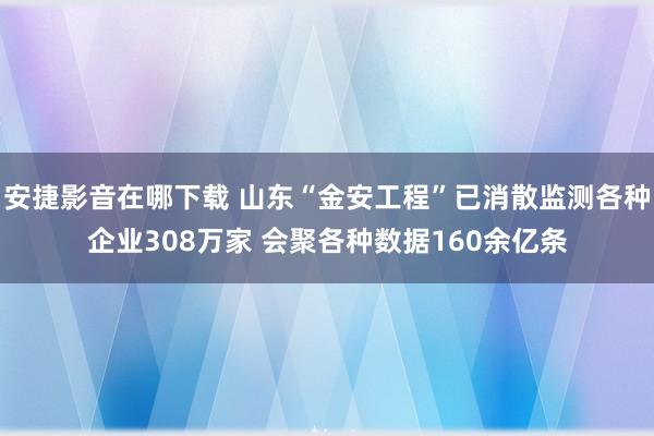 安捷影音在哪下载 山东“金安工程”已消散监测各种企业308万家 会聚各种数据160余亿条