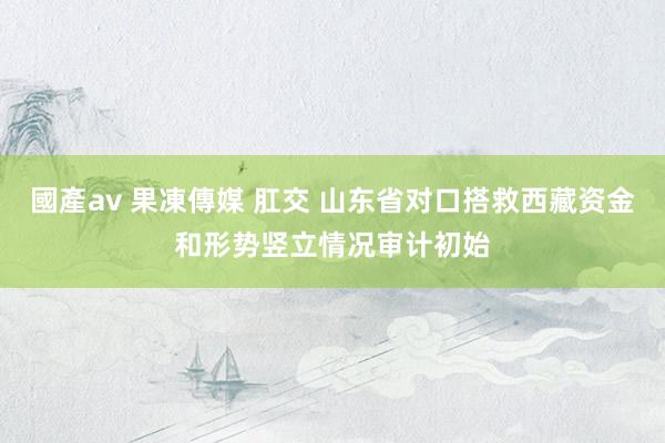 國產av 果凍傳媒 肛交 山东省对口搭救西藏资金和形势竖立情况审计初始