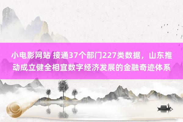 小电影网站 接通37个部门227类数据，山东推动成立健全相宜数字经济发展的金融奇迹体系