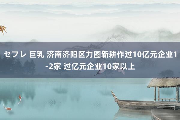 セフレ 巨乳 济南济阳区力图新耕作过10亿元企业1-2家 过亿元企业10家以上